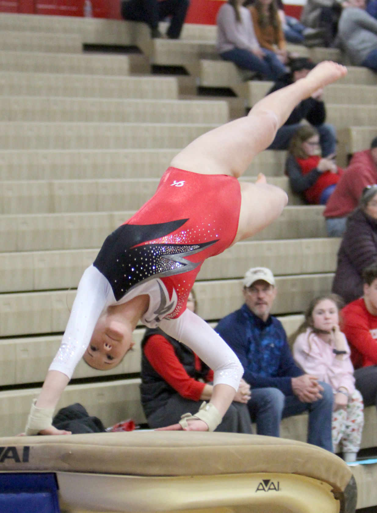 Chi-Hi Gymnastics Triangular 1-17-19